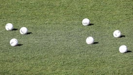 Naas beat Moate for fourth schools Leinster title in five years