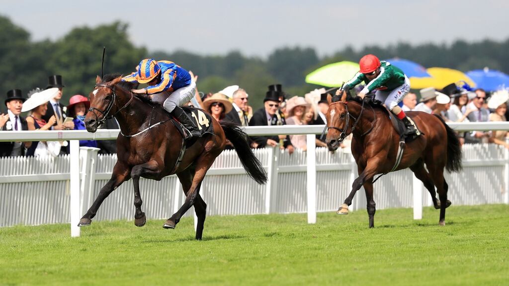 Ryan Moore and Order Of St George take the Ascot Gold Cup. Photograph: PA