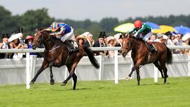 Order of St George turns screw to take Ascot Gold Cup