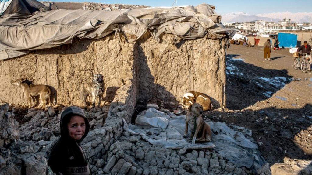 A child plays among stray dogs and a collapsed building at the Bagrami refugee camp in Kabul earlier this year. War in Afghanistan has eroded the social bonds and community safety nets that underpinned hundreds of thousands of rural Afghans' lives. Photograph: Bryan Denton/The New York Times