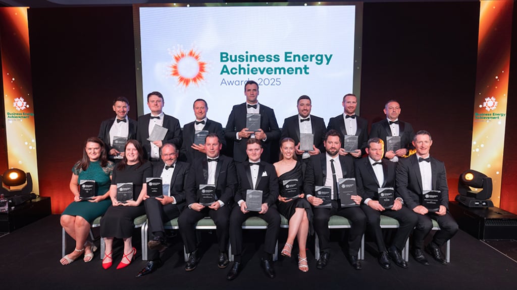 Winners of the Business Energy Achievement Awards 2025