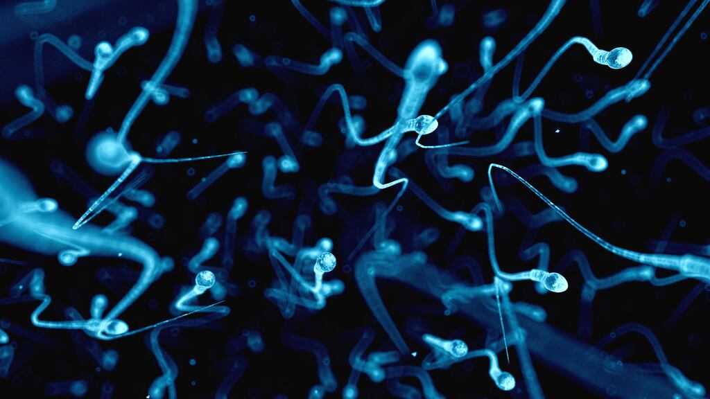 Spermatazoa: something that’s going on in a man’s body one month may be totally different from what’s happening the next month. Illustration: SciePro/iStock/Getty