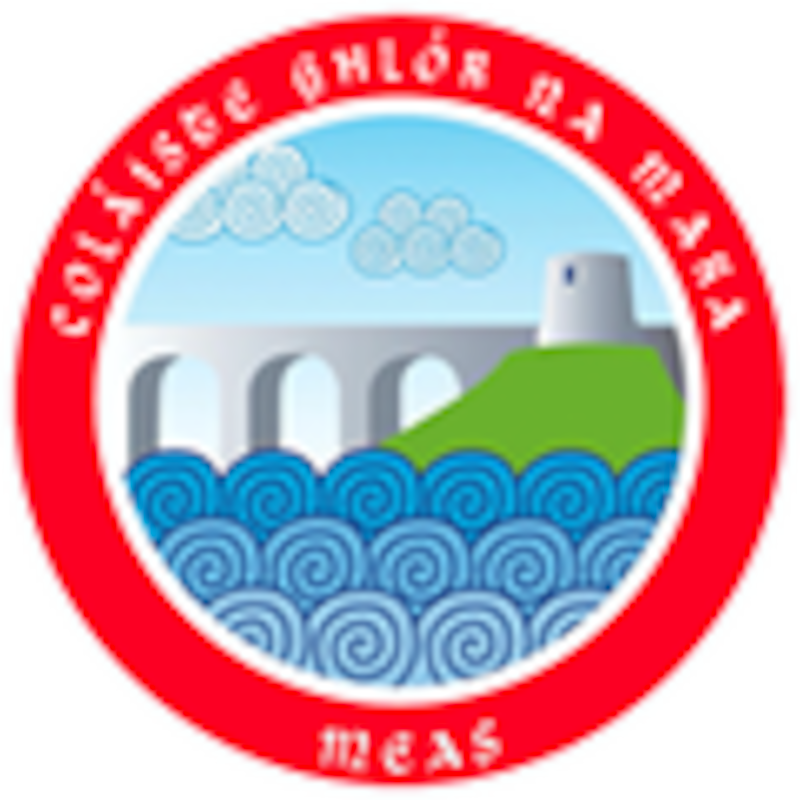 The camp is run by fully qualified teachers and is a great way for students to learn or improve their Irish