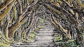 It’s a forest of friends – hug a lonely beech tree