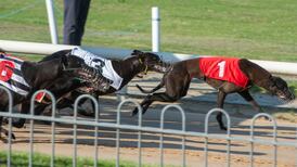 Budget process goes to dogs