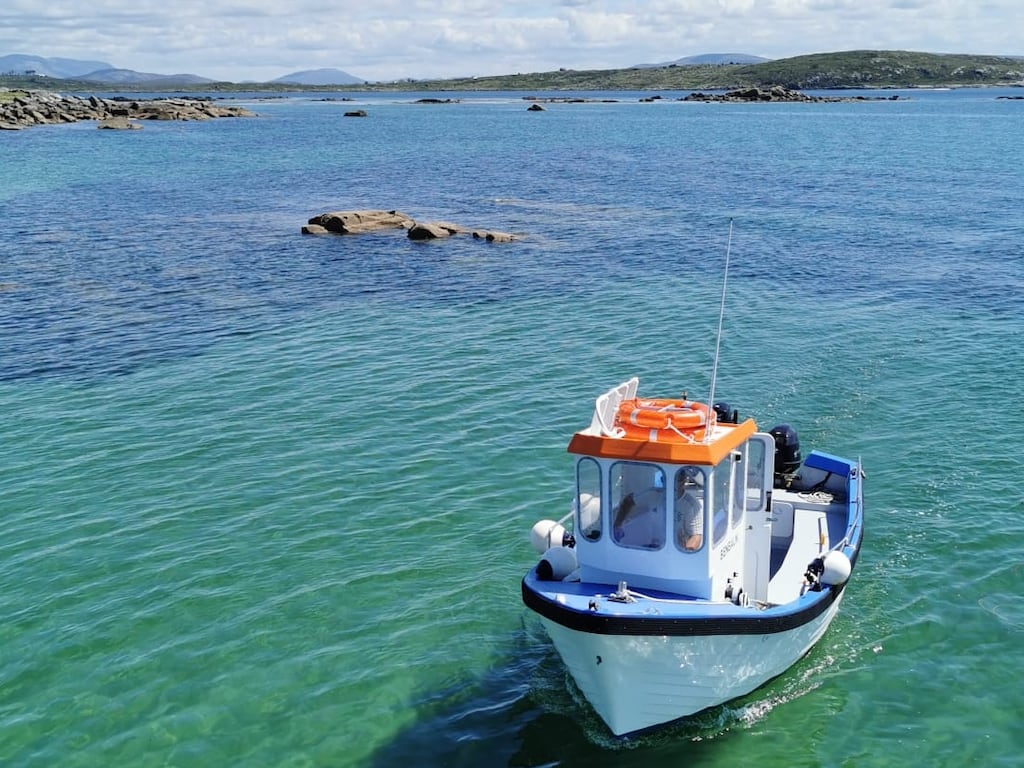 Roundstone Bay Boat Tours are for up to five people, with options such as an eco tour or a day on the otherwise deserted Inishlacken island