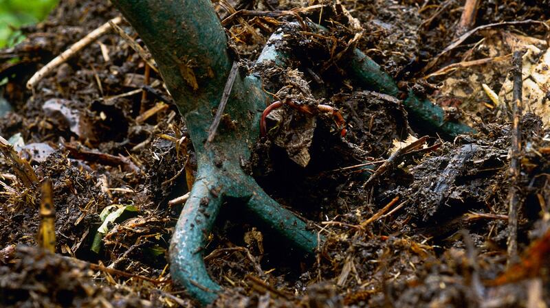 The size and design of your compost heap will make a difference to the finished result. Photograph: Getty