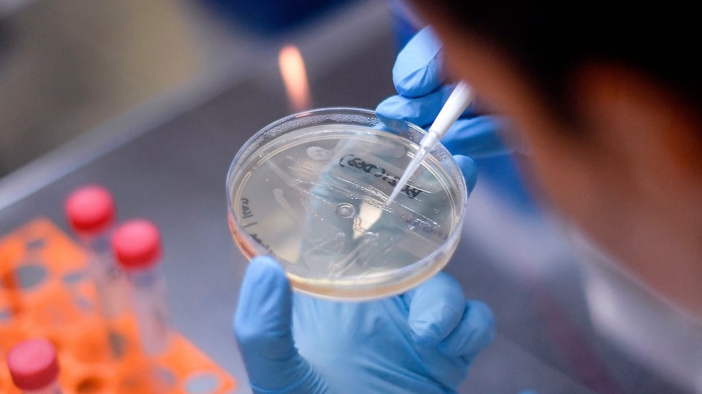 Academics warn there is no guarantee that a coronavirus vaccine will be developed. Photograph: Douglas Magno/AFP via Getty