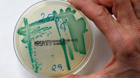 Drug-resistant MRSA strains on rise, says TCD professor
