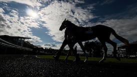 Rainwater use and sustainable transport among recommendations in environment report for equine sector