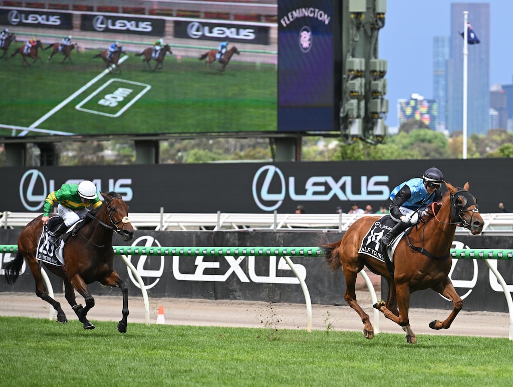 Jamie Melham riding Half Yours defeats Wayne Lordan riding Goodie Two Shoes in the Melbourne Cup. Photograph: Vince Caligiuri/Getty Images