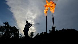 Amazon summit may be best chance to save rainforest