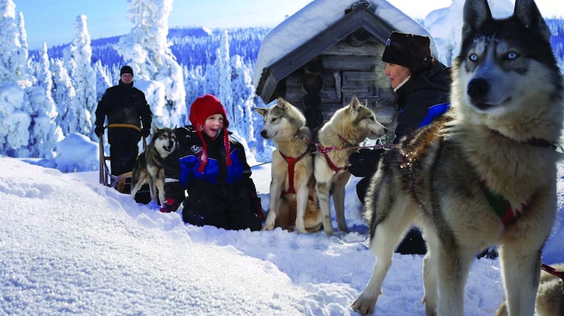 We sit into a long sledge and the pack of 12 fluffy, excited dogs, yapping and jumping around, suddenly stand to attention and take off.