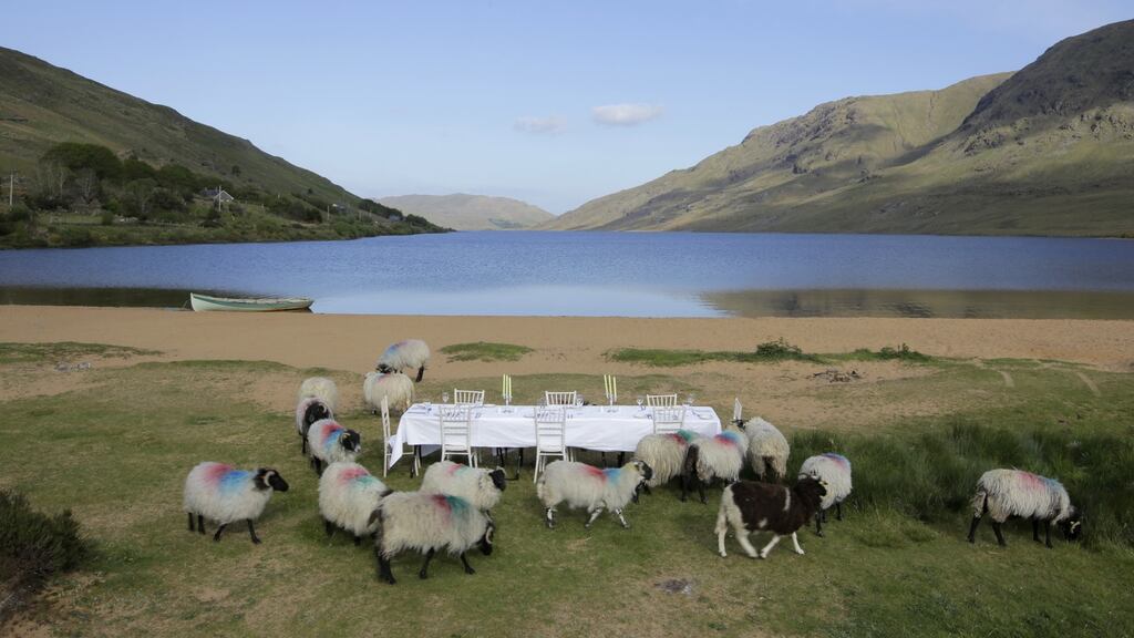 Galway’s bid includes Project Baa Baa! a mini-festival to celebrate sheep