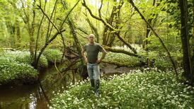 The Gearagh: the River Lee’s ancient inland empire