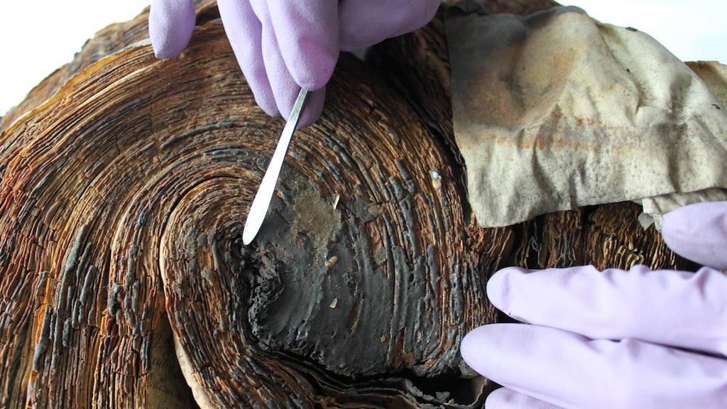 Inaccessibility aside, scholars have another concern: the physical state of older records of the Irish Land Commission