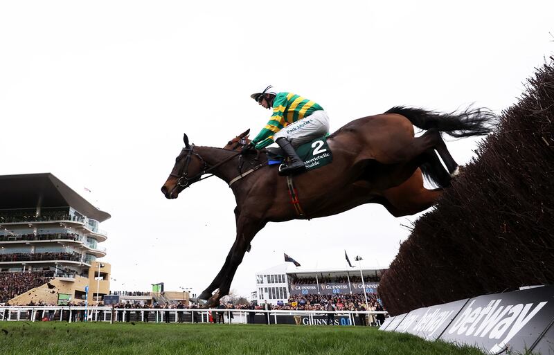 Fact to File, ridden by Mark Walsh, take flight on their way to winning the Brown Advisory Novices Chase at Cheltenham Racecourse in March. Photograph: Michael Steele/Getty Images