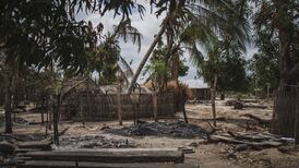 Mozambique police confirm dozens of villagers beheaded