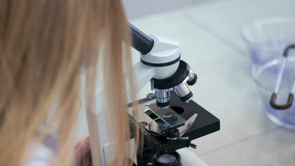 The rate at which labs process slides has slowed considerably since the summer because of concerns raised by the rate of litigation. Photograph: iStock