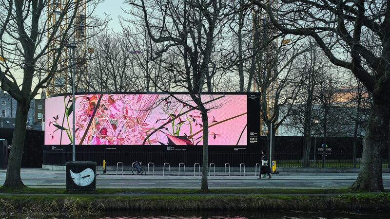 From Bassam Al Sabah’s work, Wandering, Wandering with the Sun on my Back.