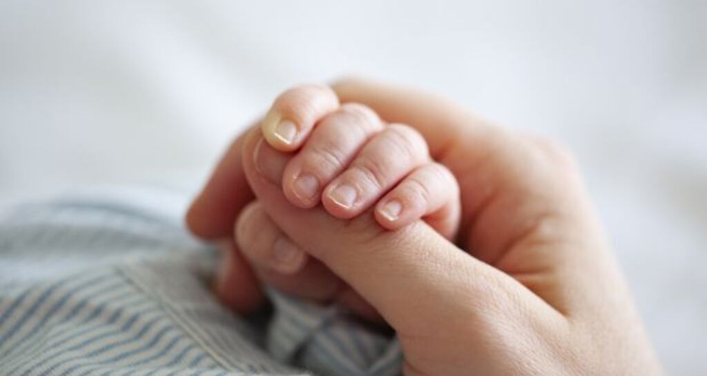The new legislation will regulate all forms of assisted human reproduction. Photograph: iStock