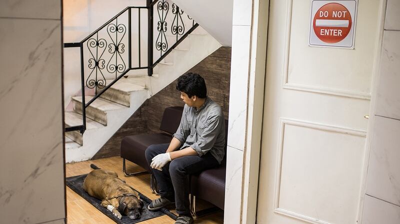 Hashem, a construction worker, with his boss’s dog at the vet in Tehran. Photograph: Arash Khamooshi via The New York Times