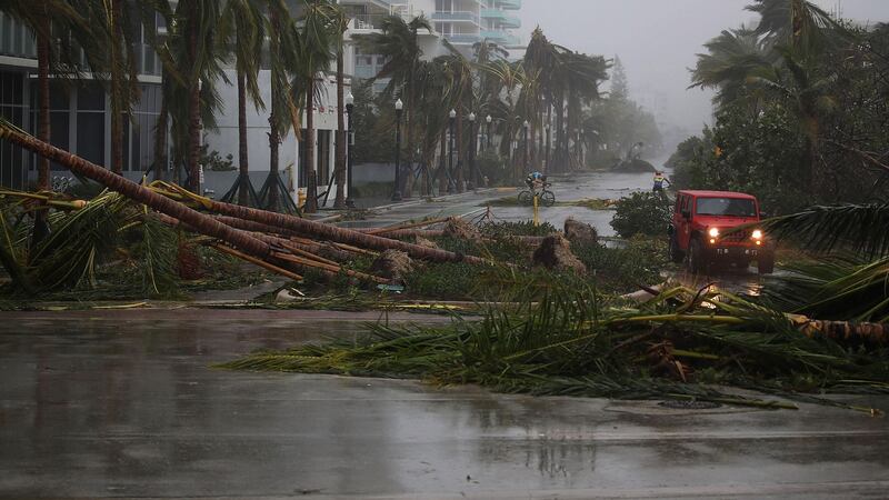 A vehicle passes downed palm trees as Hurricane Irma passed through Miami Beach, Florida on Sunday, September 10th as a Category 4 storm lashed the state with 130 mph winds. Photograph: Joe Raedle/Getty Images