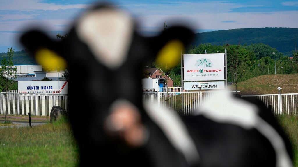 News of more than 600 cases of Covid-19 in abattoirs in several German states prompted long-threatened reforms. Photograph: Ina Fassbender/AFP