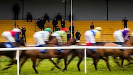 Survival is the only metric for success at some of Ireland’s struggling racetracks
