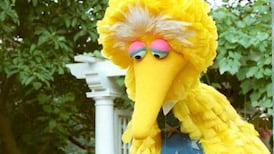 Big Bird is not the only casualty when public broadcasting is cut