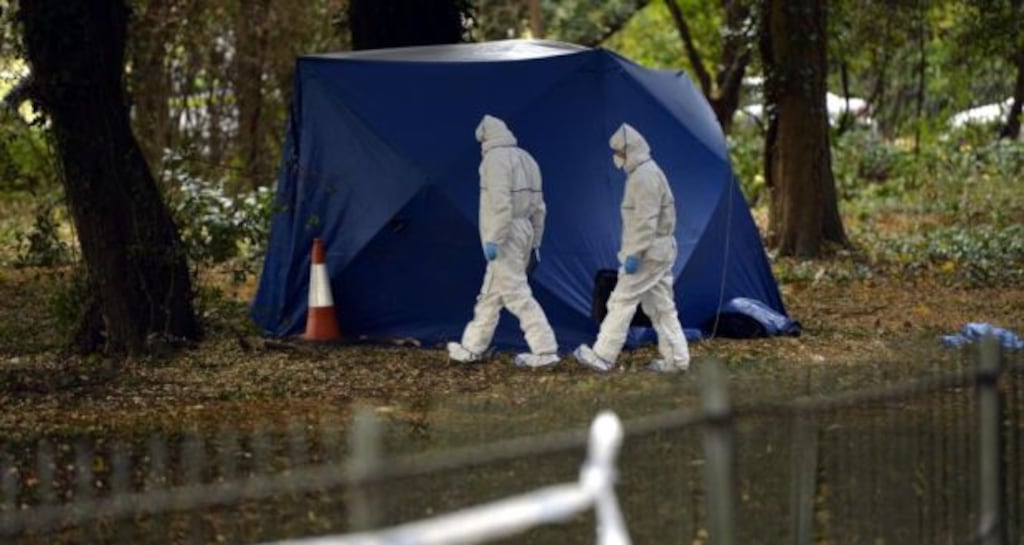 Members of the garda technical bureau crime scene investigations unit at the scene where a man’s body was found burned in a sleeping bag last Friday. Photograph: Alan Betson/The Irish Times