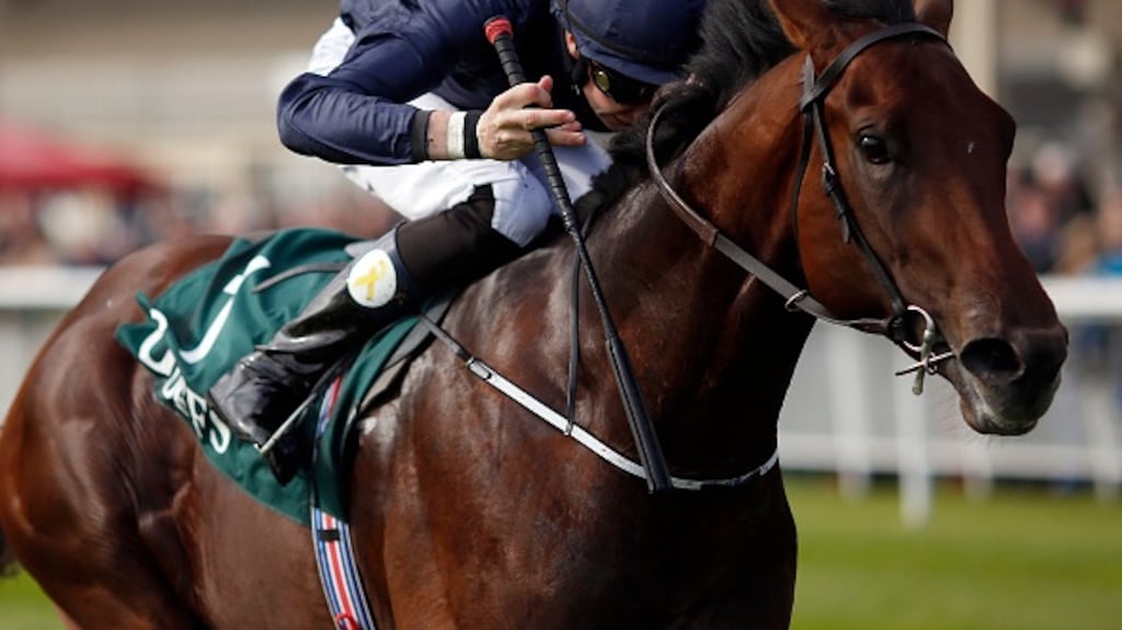 Air Force Blue is the favourite for the 2,000 Guineas. Photograph: Getty