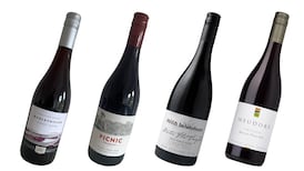 Time to try New Zealand sauvignon blanc’s red sister