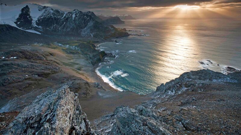 The remote wildlife-rich island of South Georgia has been officially declared free of rats and mice. Photograph: Oliver Prince/PA Wire