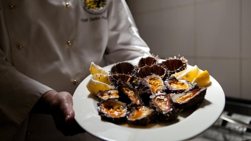 A  delectable dish served by the  Nostromo restaurant. Photograph:  Max Cantor for The New York Times