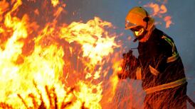 No landowners penalised for illegal gorse fires, says wildlife trust