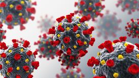 India detects ‘double mutant’ coronavirus variant