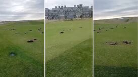 ‘A childish, criminal act’: Greens dug up and Palestinian flags planted at Trump’s Doonbeg golf course