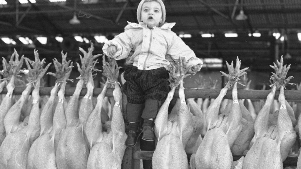 One-year-old Sean Dunne from Ashford at the first turkey auction at Ashbourne, Co Meath. Photograph: Eddie Kelly