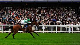 War set to Command in Phoenix Stakes and deliver lucky 13 for canny Ballydoyle handler