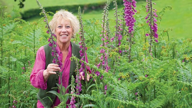 Carlow Garden Festival - Carol Klein