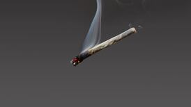 Cannabis legalisation: ‘It’s a bit like the anti-vaxx debate’