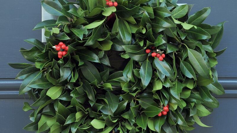 A decorative festive Christmas holly wreath tied to a door knocker