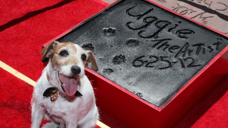 Uggie became the first dog to have his prints cemented outside Grauman’s Chinese Theatre in Hollywood. Photograph: David Livingston/Getty Images