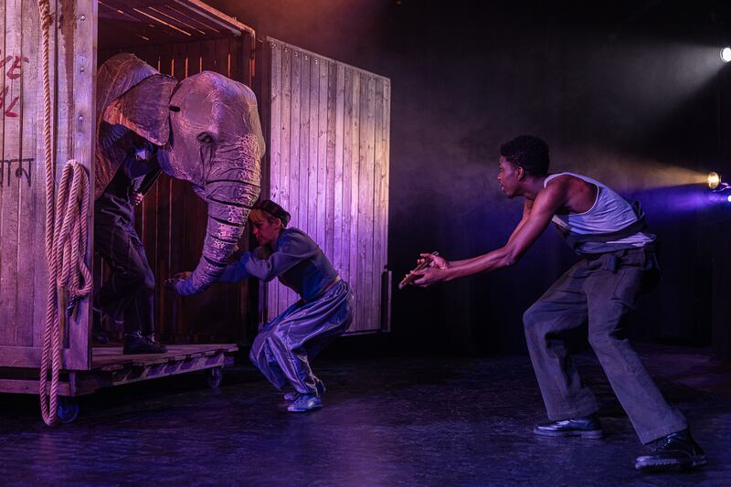 The Vanishing Elephant: 'Our scale has shifted, and our creative ambition has shifted with it,' says Cahoots artistic director Paul McEneaney