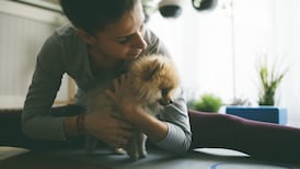 Yoga with dogs? Yes it is barking mad