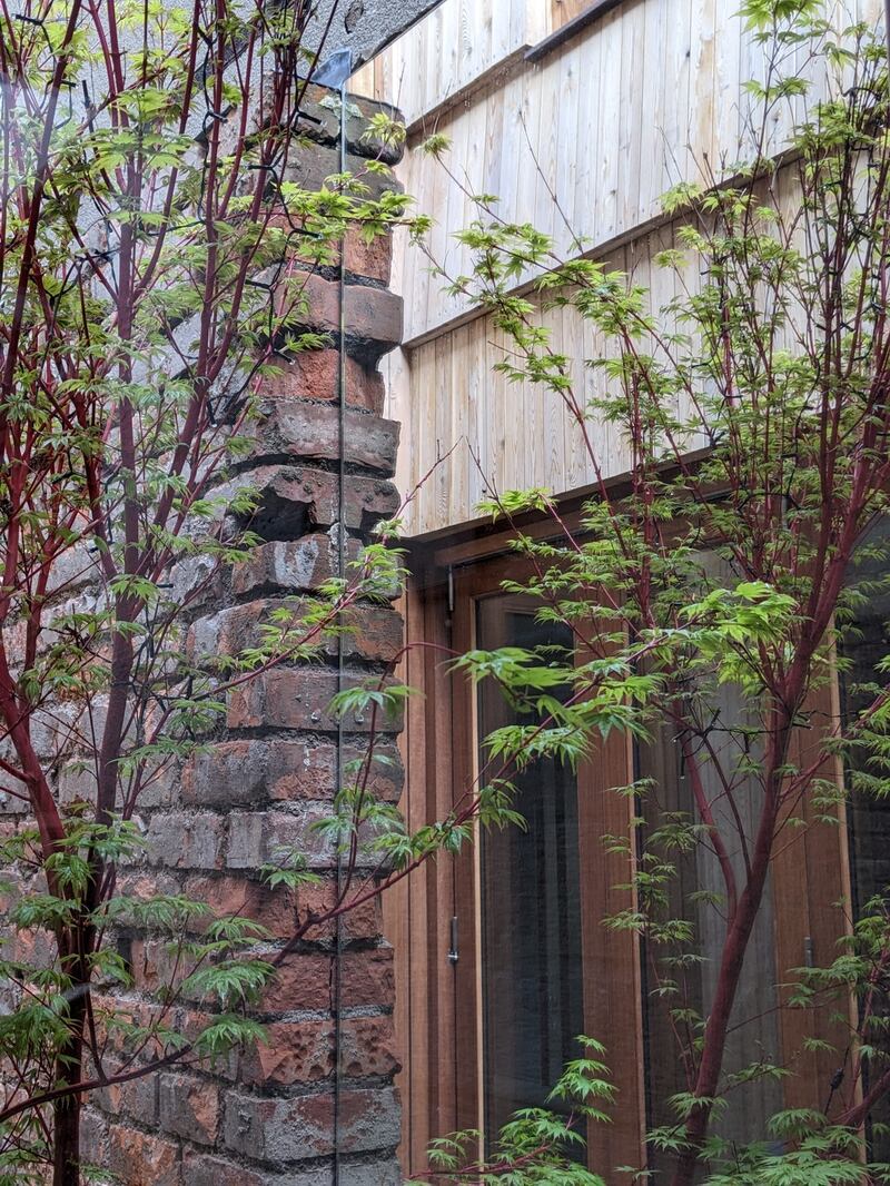 Apple Tree House, DUA Architects. Photograph: Declan Scullion