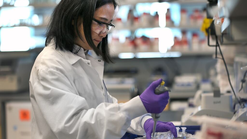 Scientist Xinhua Yan works in the Moderrna lab. The company  reported antibodies in all patients and no safety issues in an early clinical trial. Photograph:  David L. Ryan/The Boston Globe via Getty Images