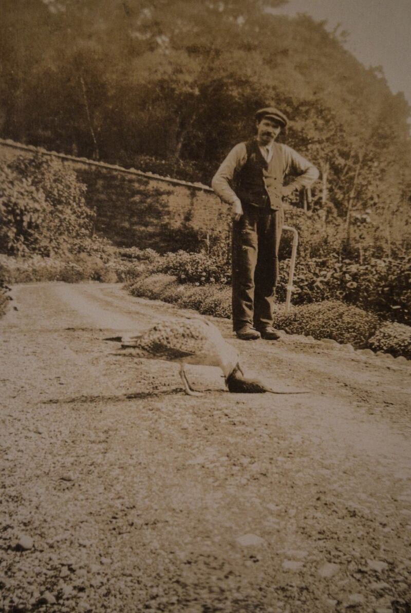 Pre-independence: a man in the walled gardens at Westport House, 1912. Photograph: Westport House/Phocus