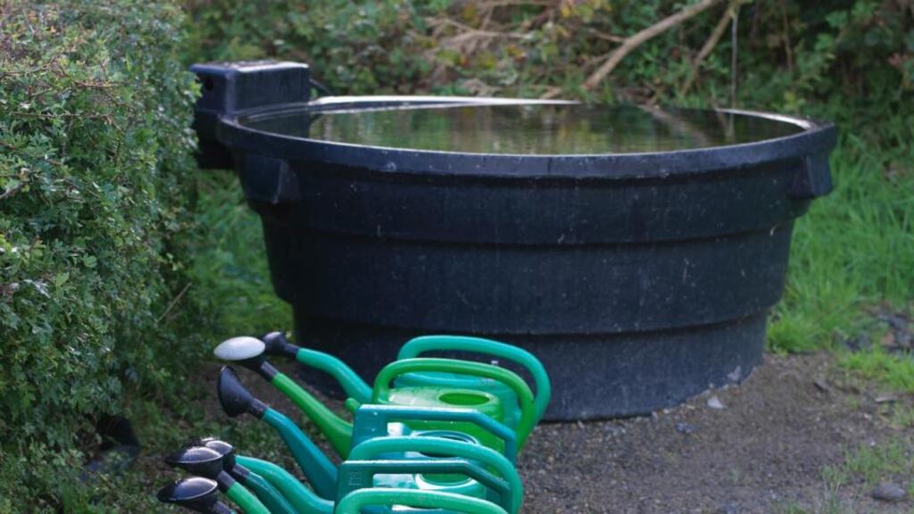 Watering cans at the ready. There are many rain barrels/water butts, which can be easily sourced from good garden centres and local authorities. Photo Credit Richard Johnston